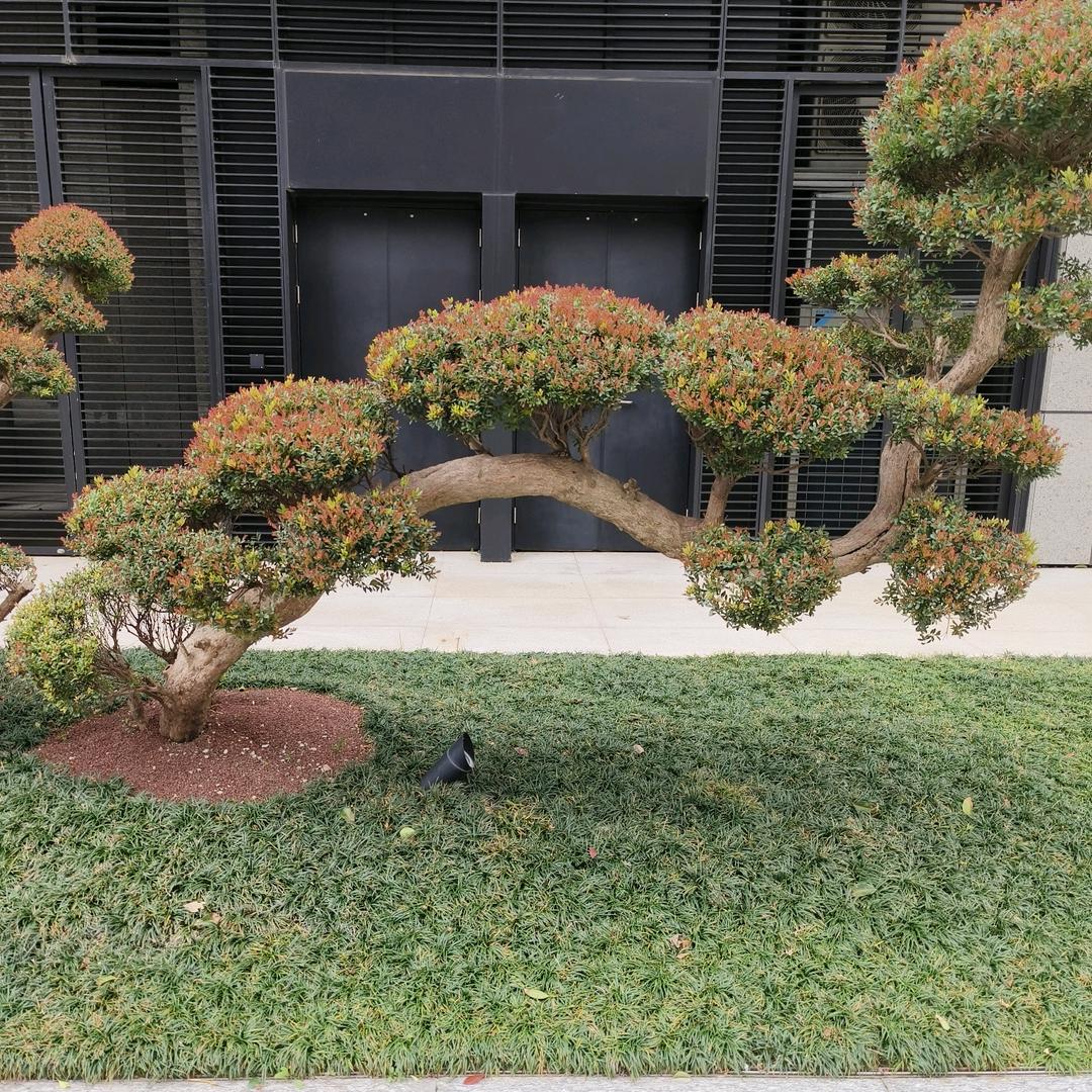 @忘记一切，从新开始