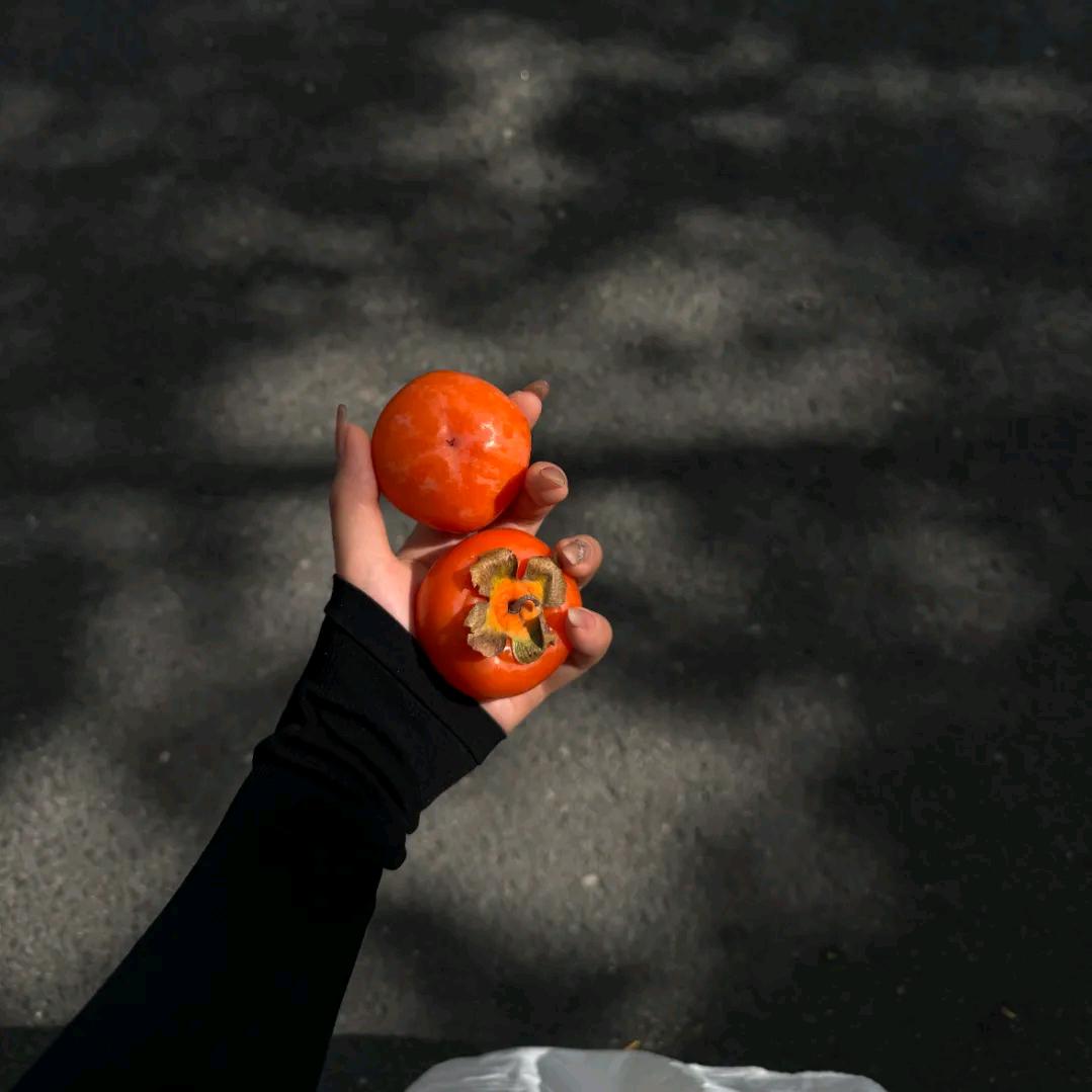 丹卿可期(涨粉中)