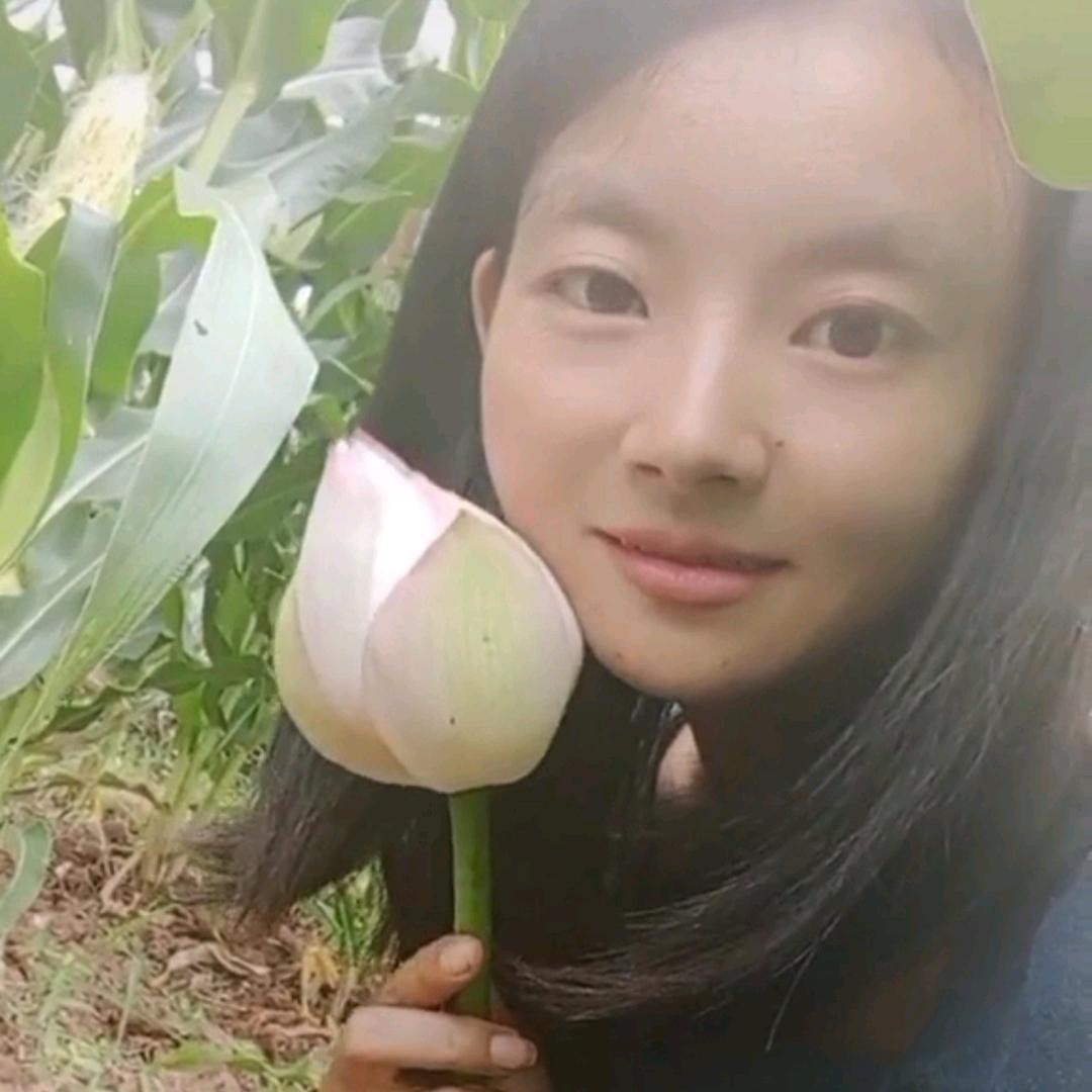 墨香的江湖风云