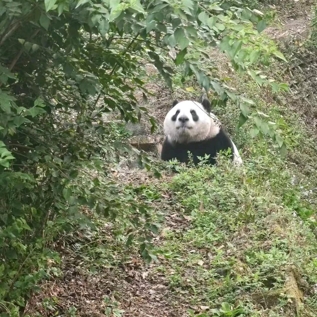 宇宙无敌暴龙战士