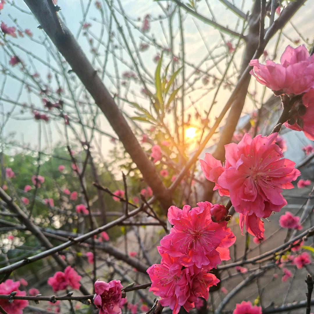 十三月