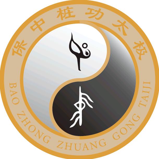 保中桩功太极