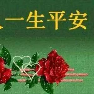 🌹一生平安🌹