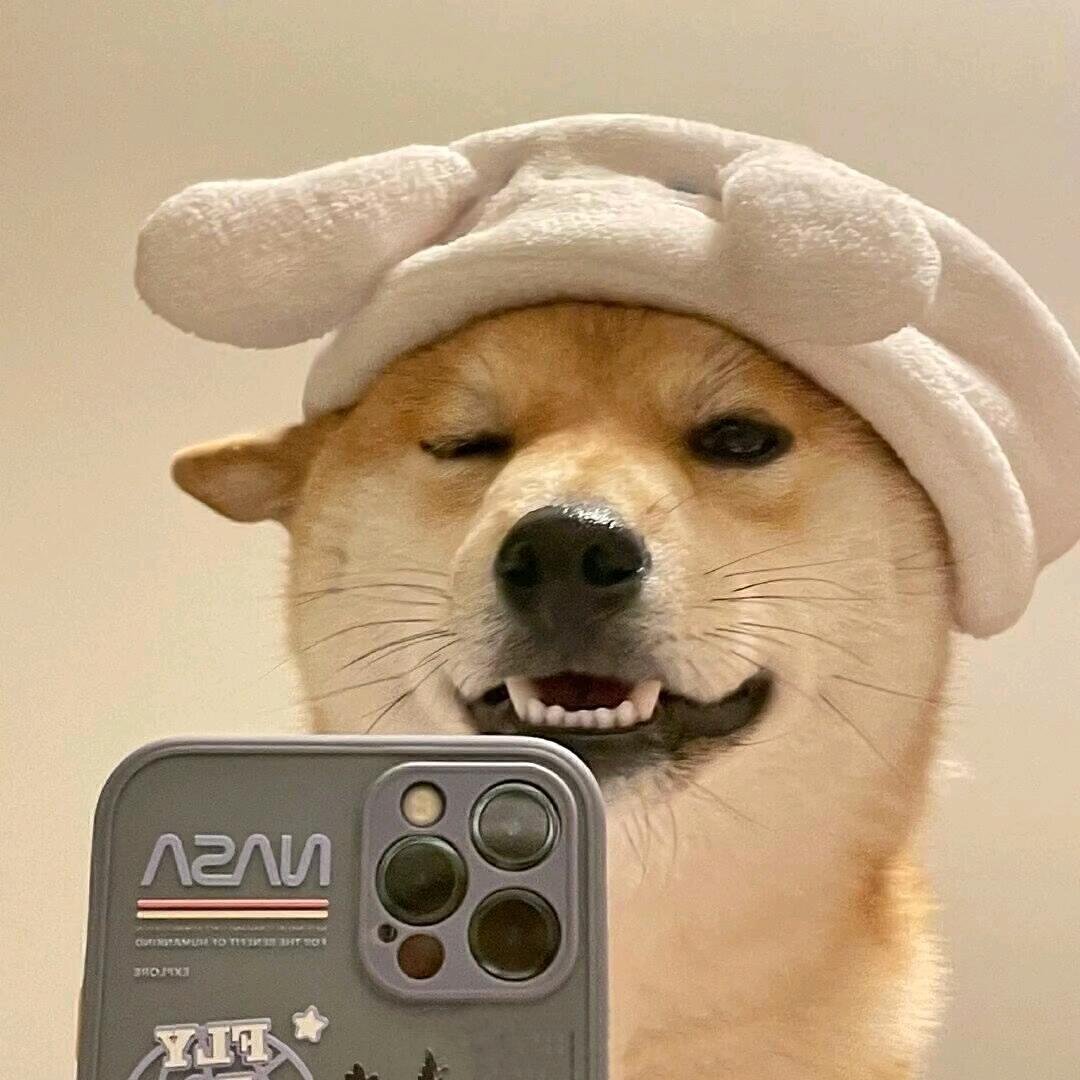 博闻强志