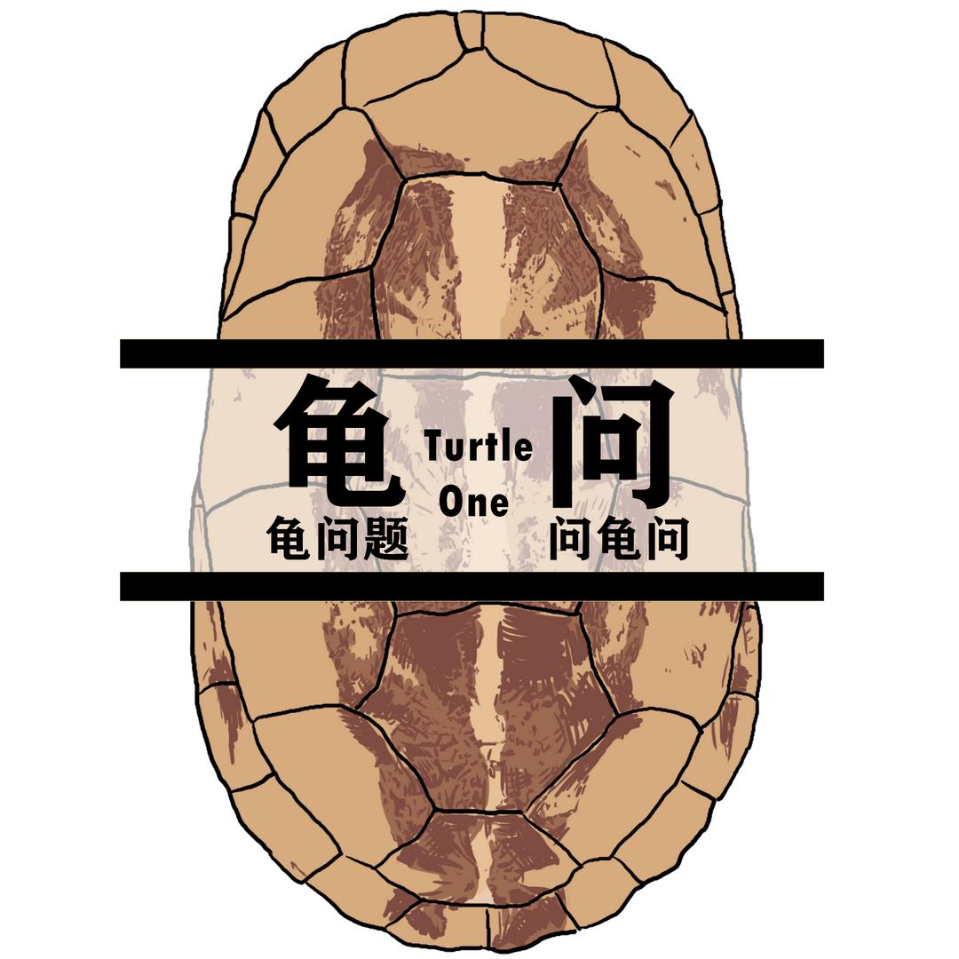 龟问