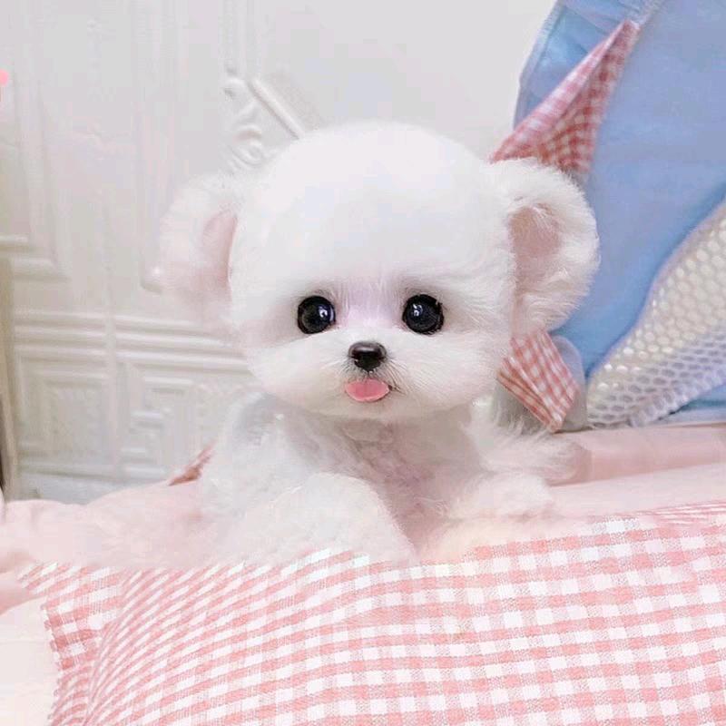 专业修电视的时光过客（互关）