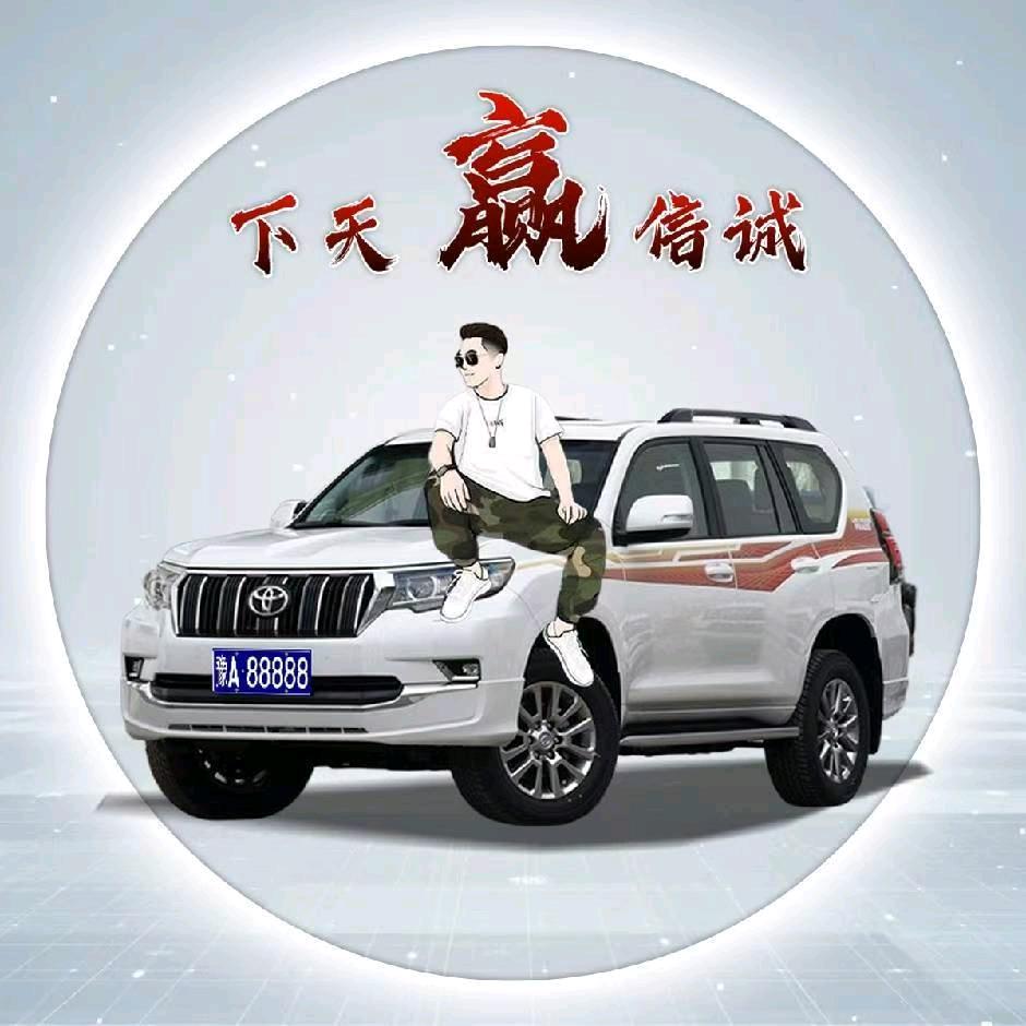 大艺二手车