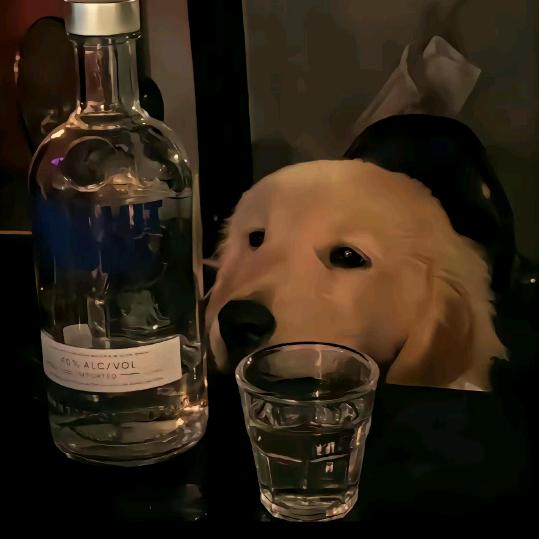 道悟乾坤