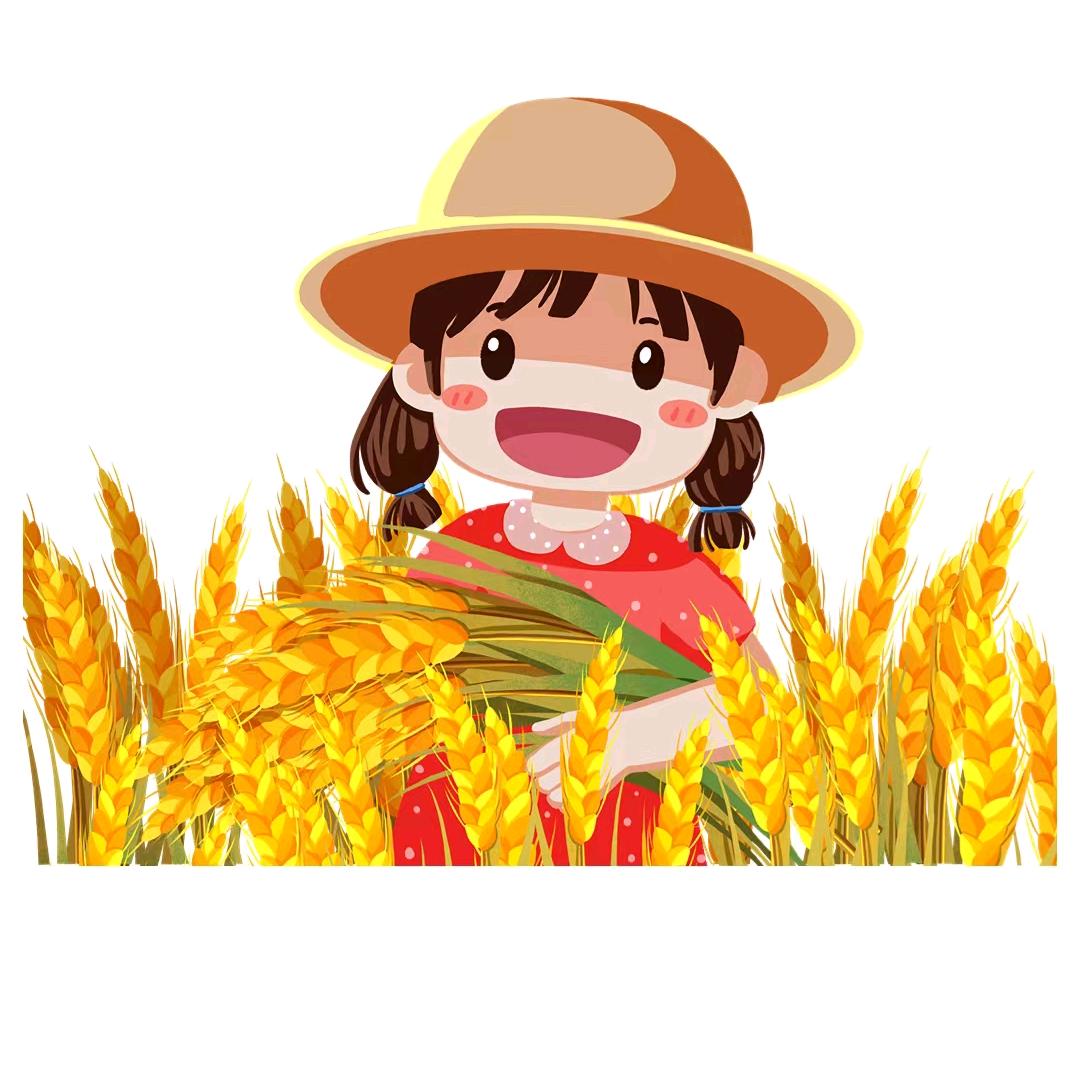 种菜的张嫂