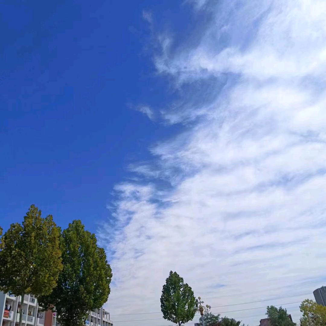 秀外慧中