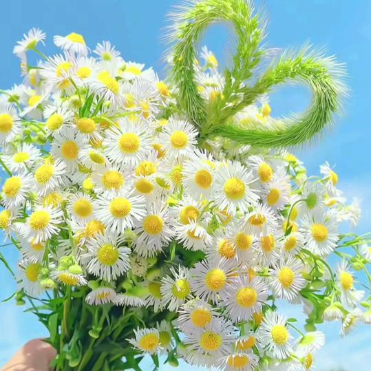 💞愿颖爱无忧💞