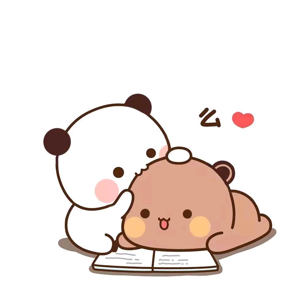 布布宠一二