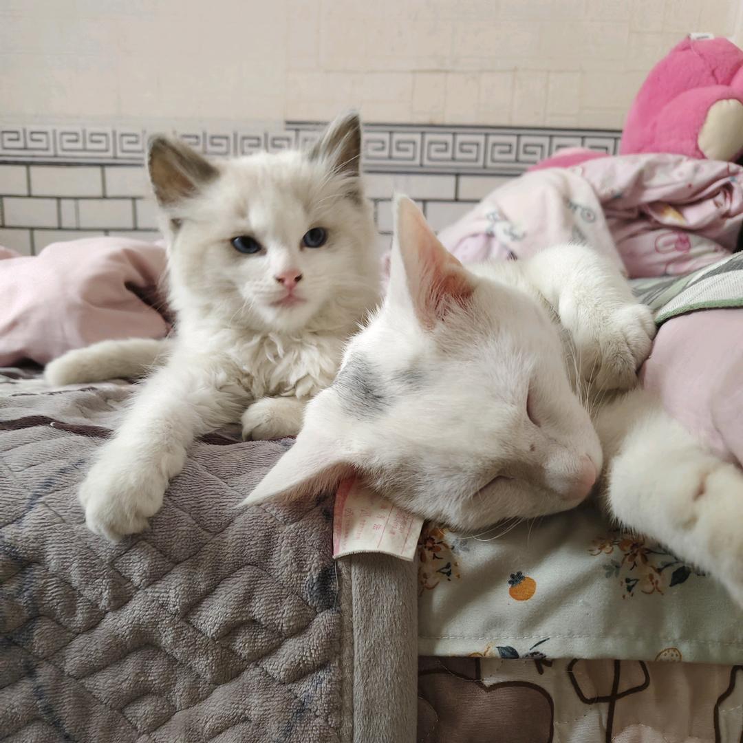 14年