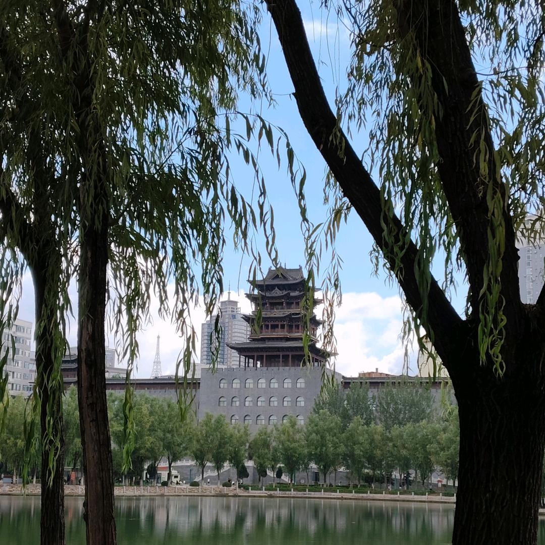 读书