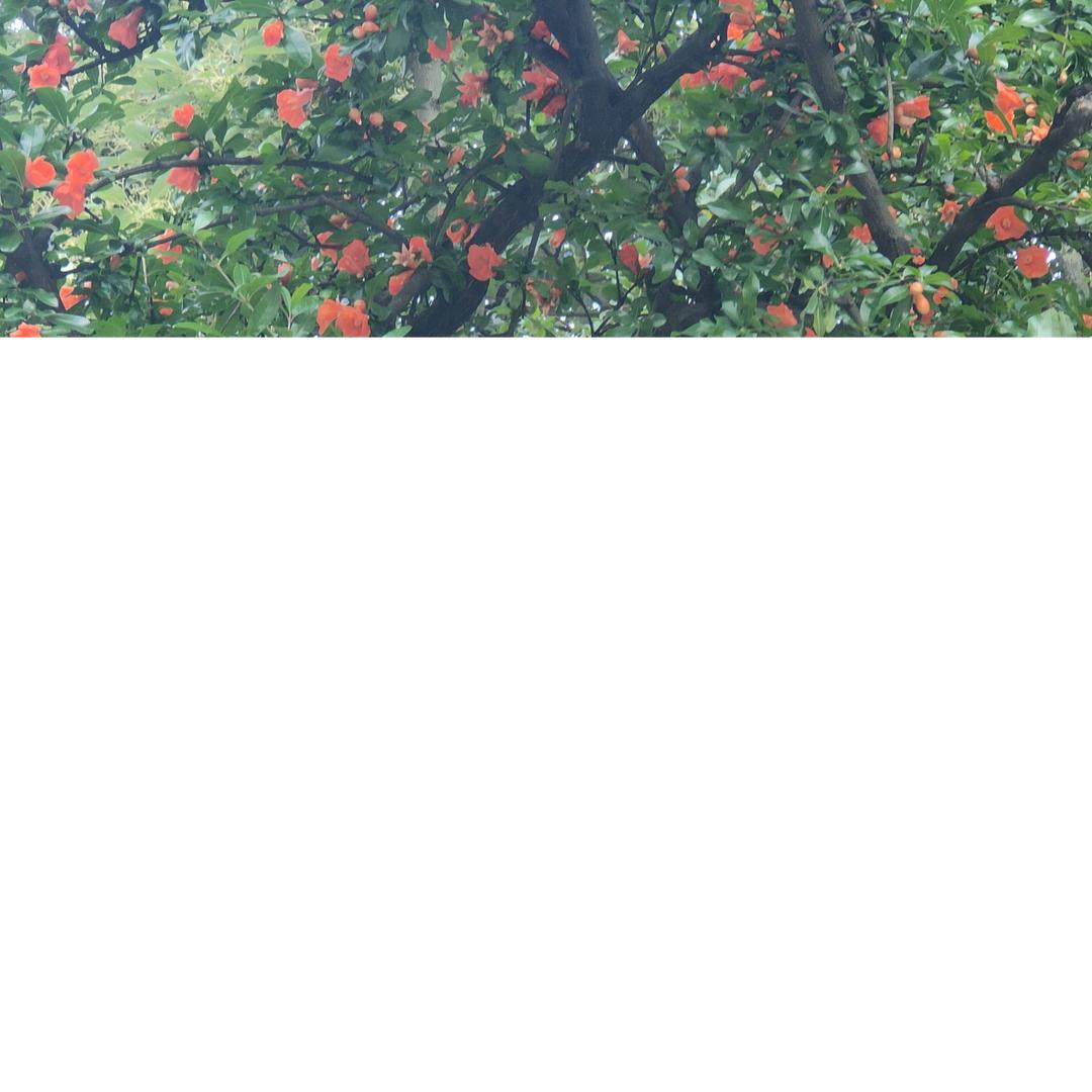 雨后彩虹@