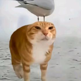 语想