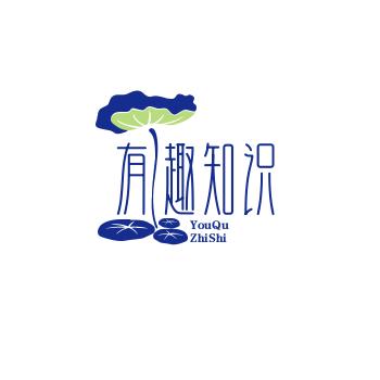 老娄好物