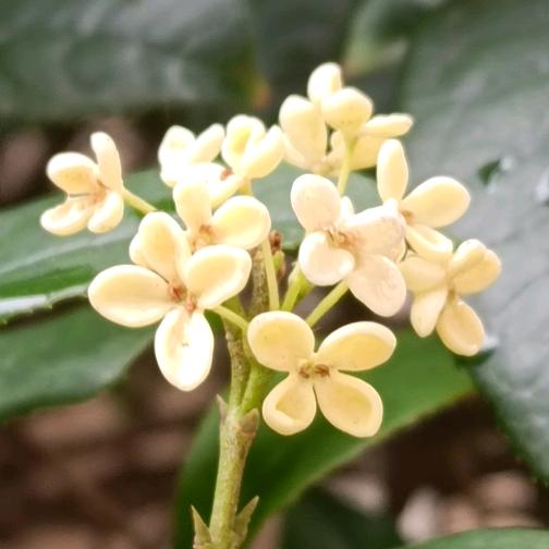 🎉幸运相随💕