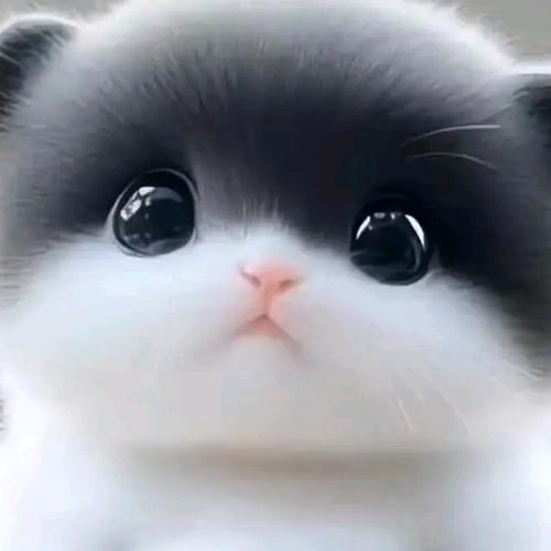 朔州～小茂