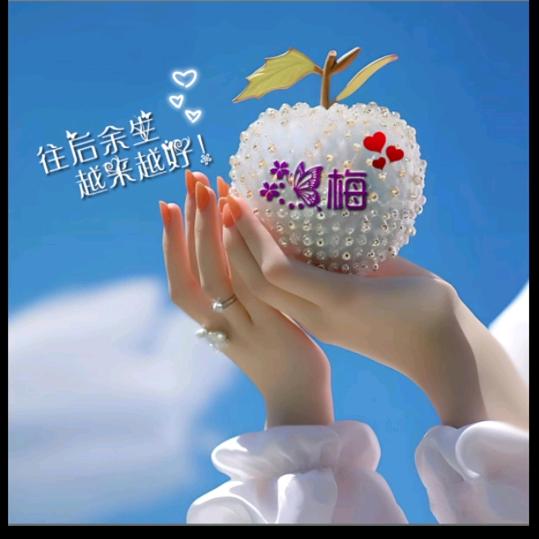 开心梅