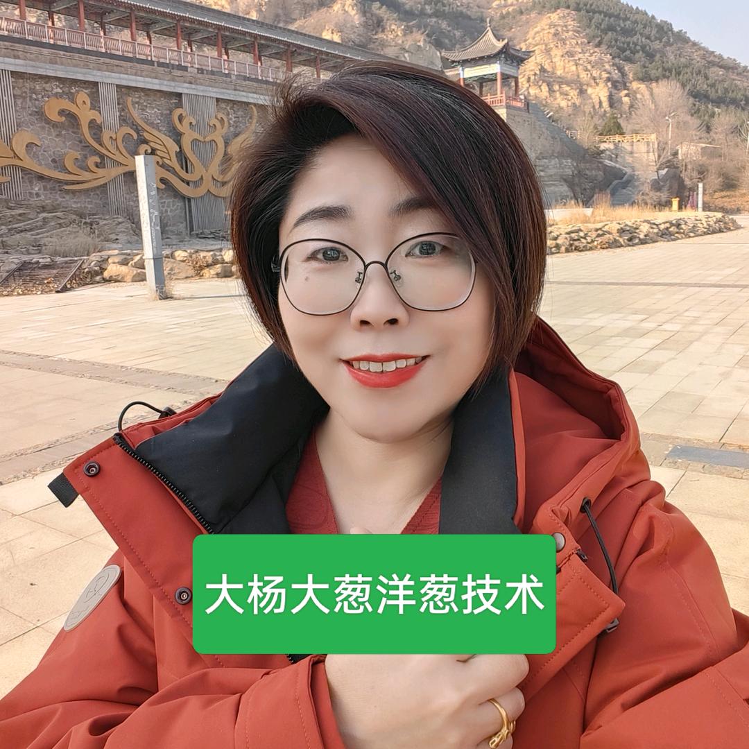 大杨大葱洋葱种植技术