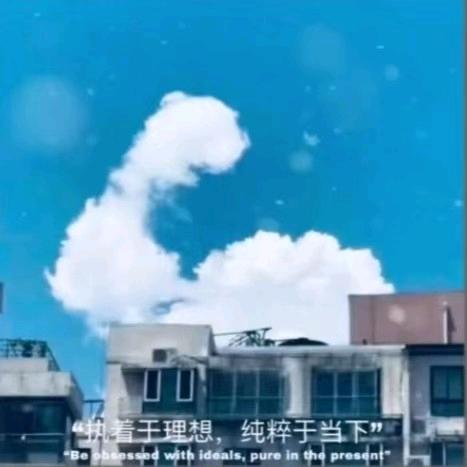 游泳健身福利官