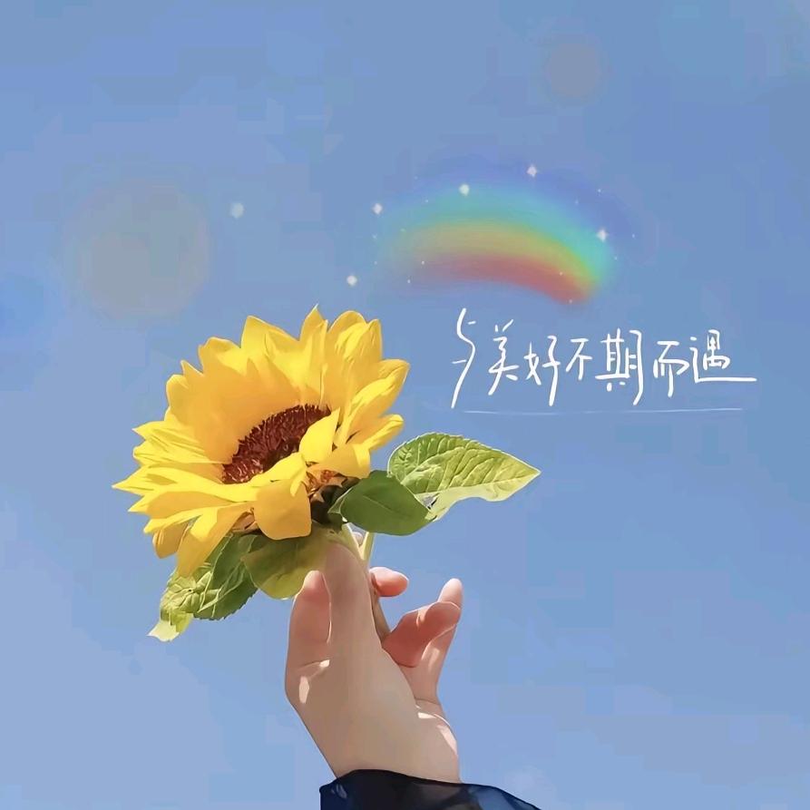 好运快到我碗里来