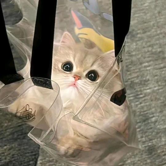 钮钴禄•二月