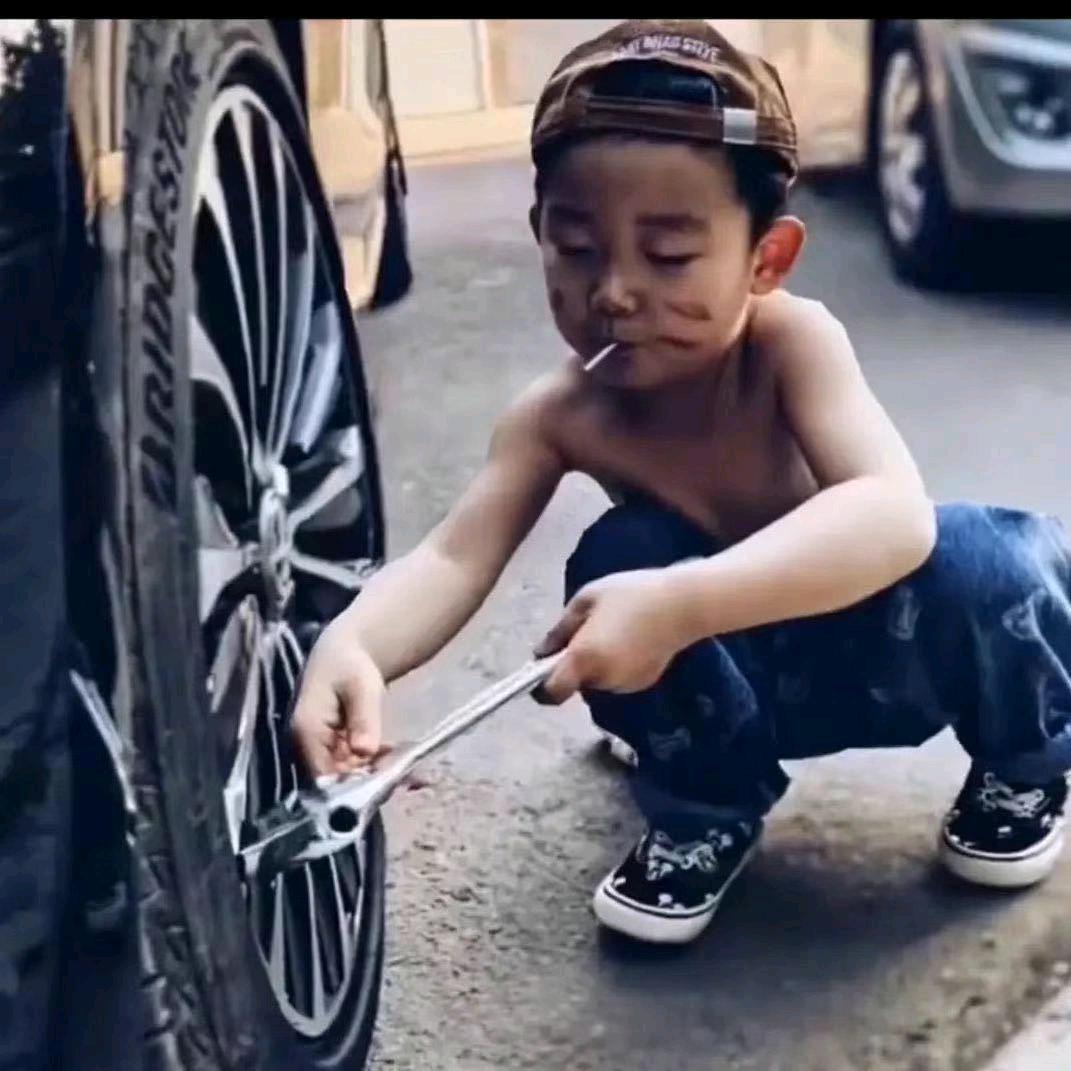 盘，盘盘的崽