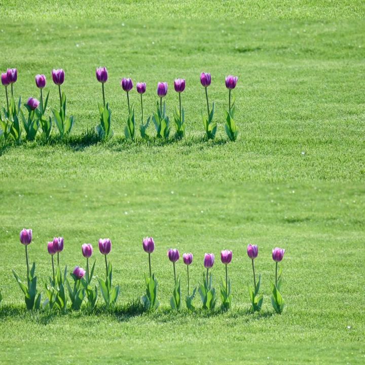 游客1234567