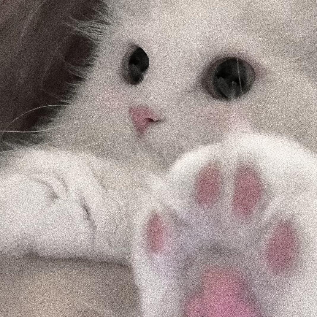 木偶⠀⠀