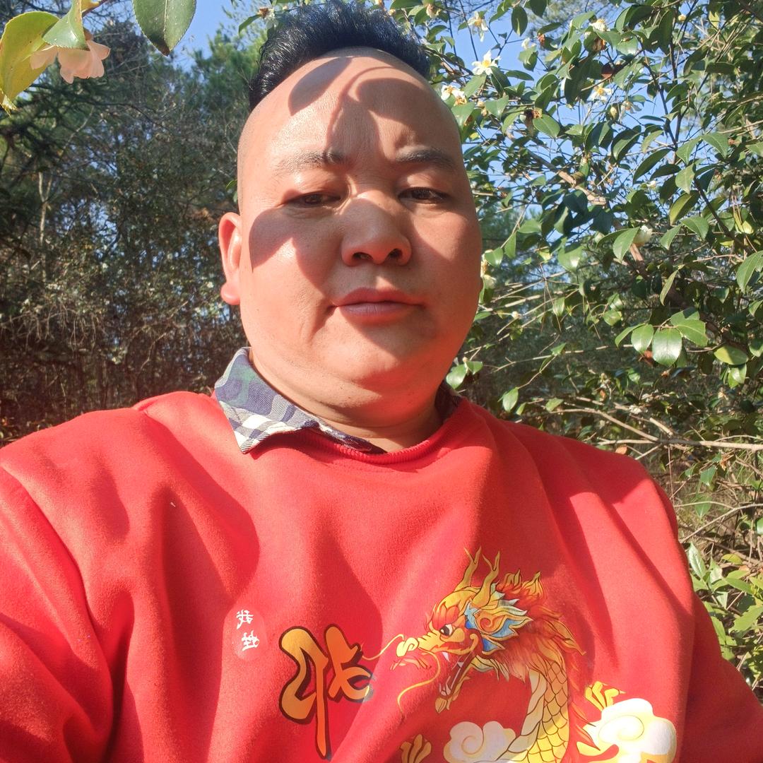 邓志坚鹤龍年的发财年发