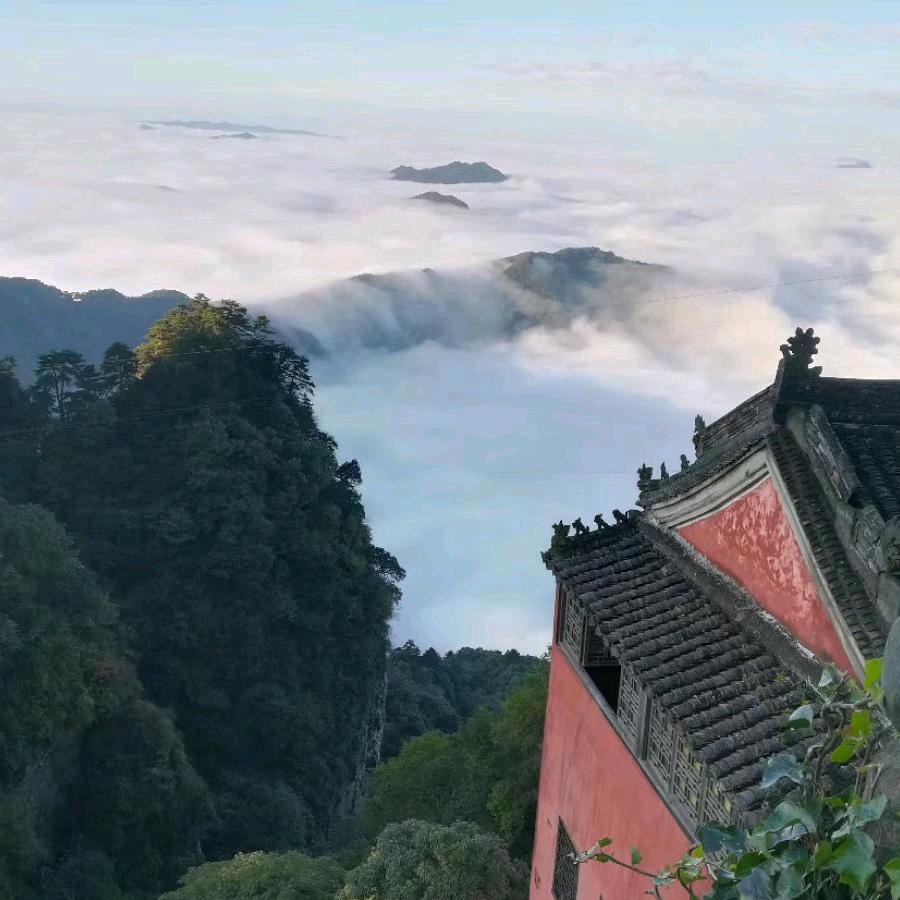 顺其自然