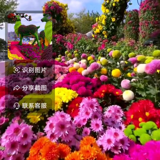 真心里四哥