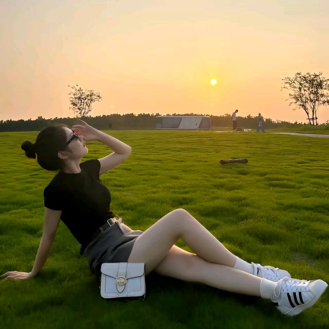 山茶花,不懂白玫瑰