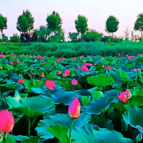 幸福一家人🎀💖💖