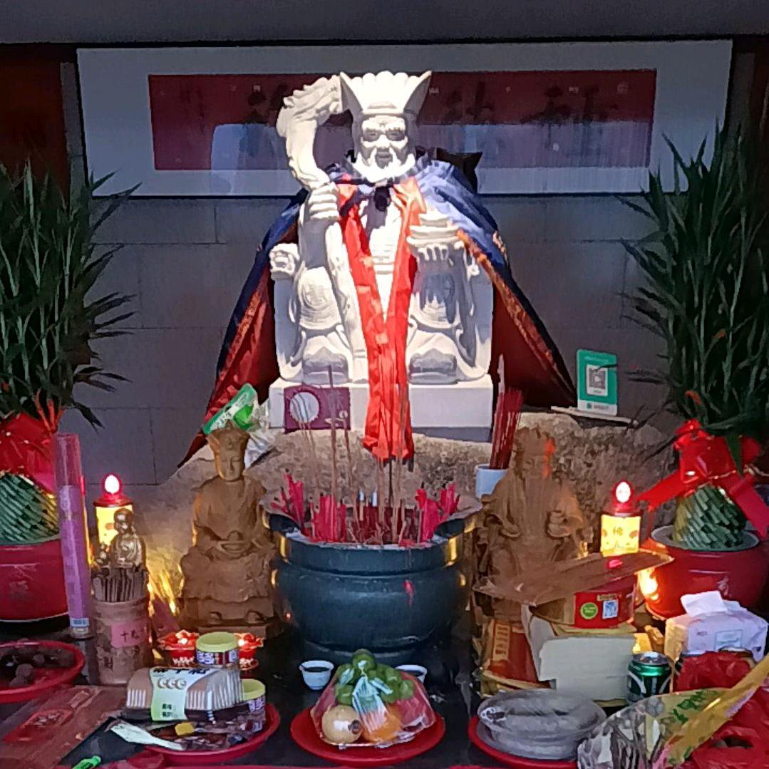 杨珍珍