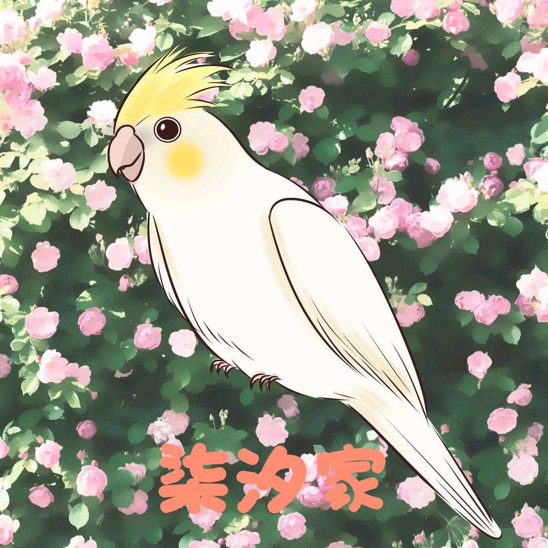 柒汐家萌宠