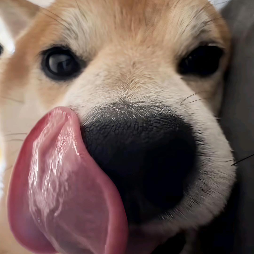 蚂蝗.