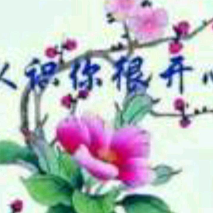 爱干净单身