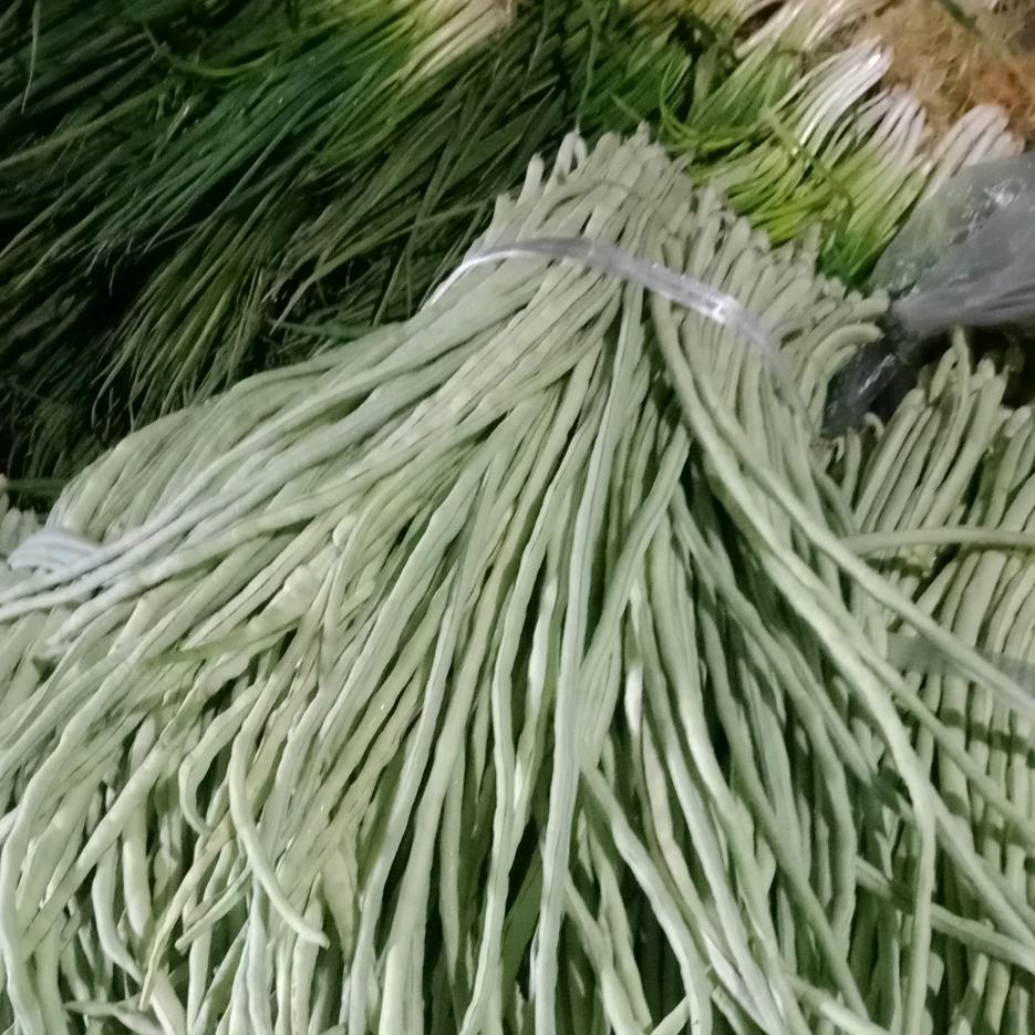 保林一生