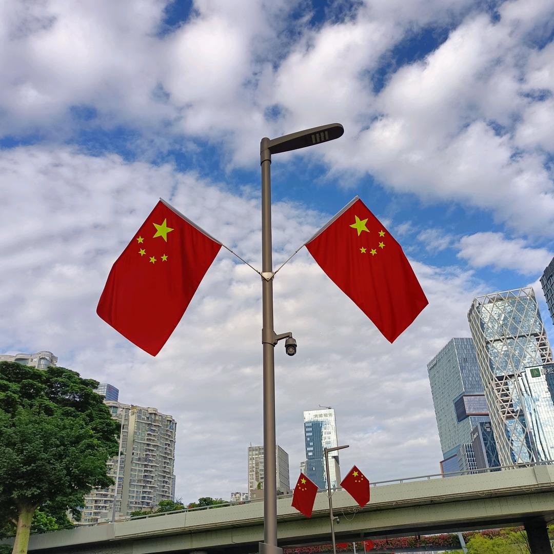 许向瑾