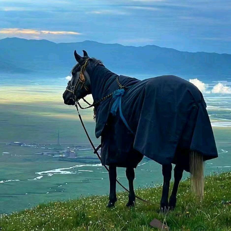 ℳ๓_㎕_______རེ་བ ¹³⁷⁶