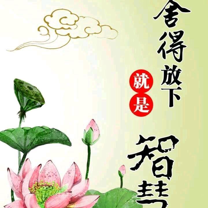 阳光总在风雨后