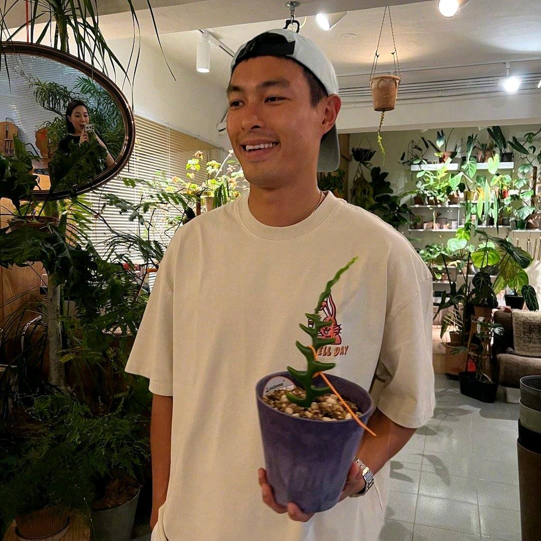 常德梁朝伟