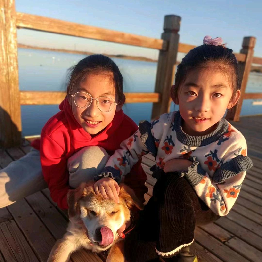 孤狼