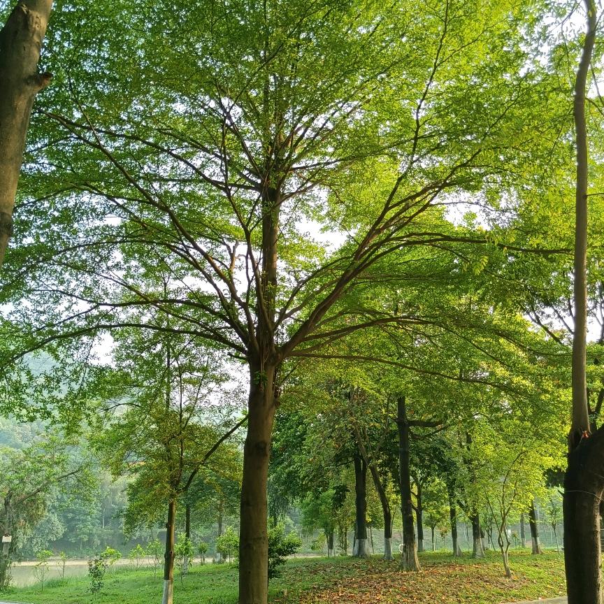 青春没有重来