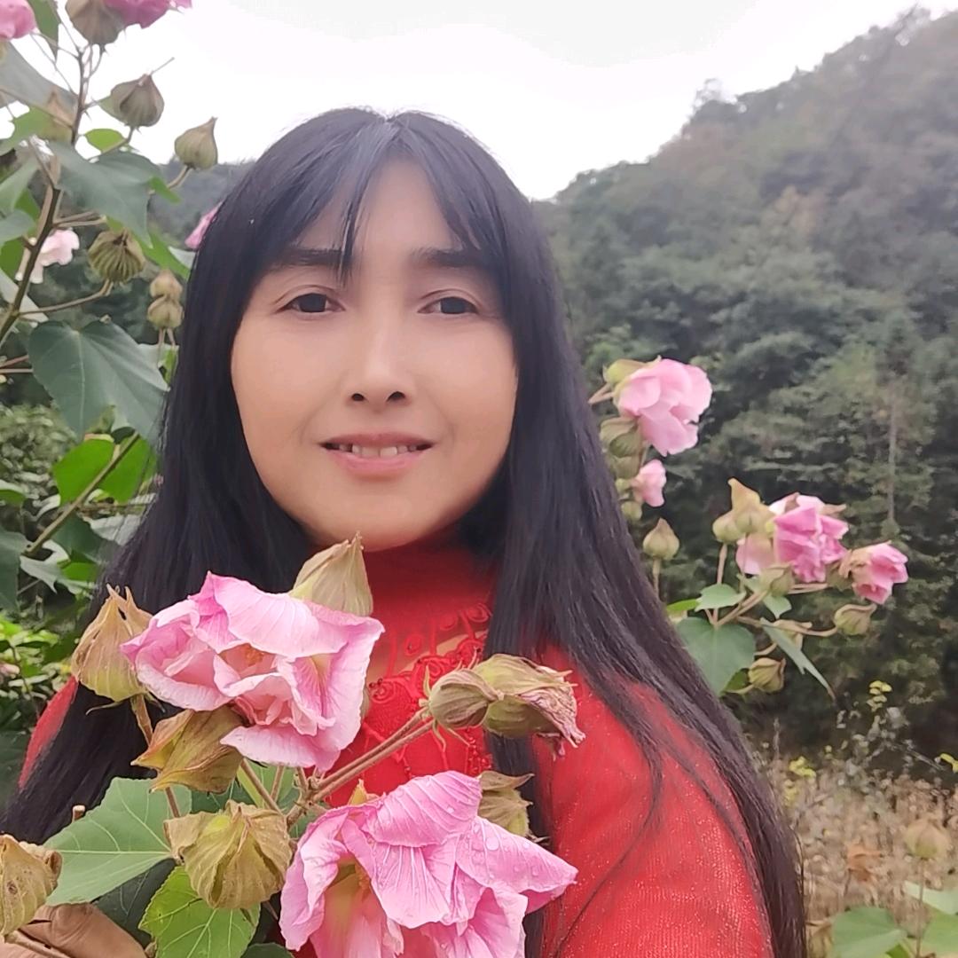 菊花姐