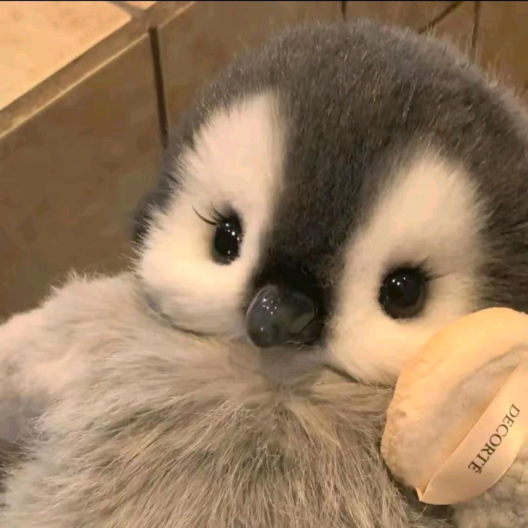 下饭菜