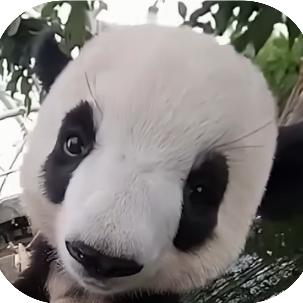 桑歌玛哈巴依老爷